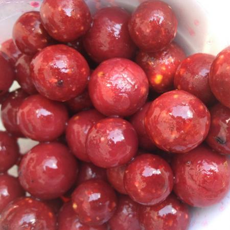 bile - 50ddc7362680bboilies-dipuit-pentru-carlig-jet.jpg